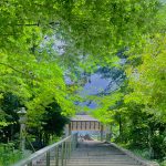 櫛田神社_20240727＿3